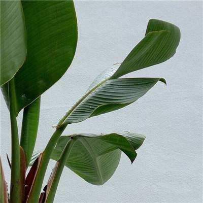 火狐体育下载app手机app下载